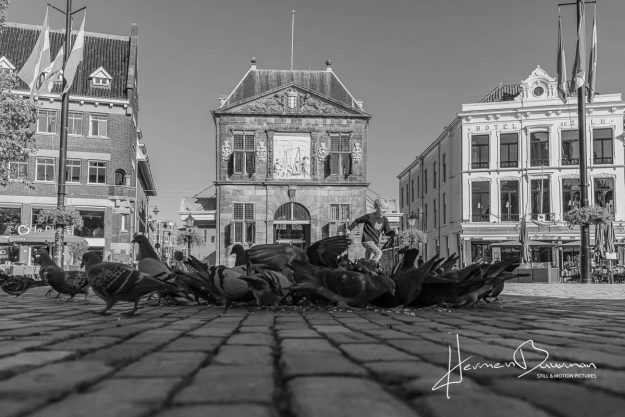 Foto van de Waag en de markt in Gouda met in de voorgrond duiven.