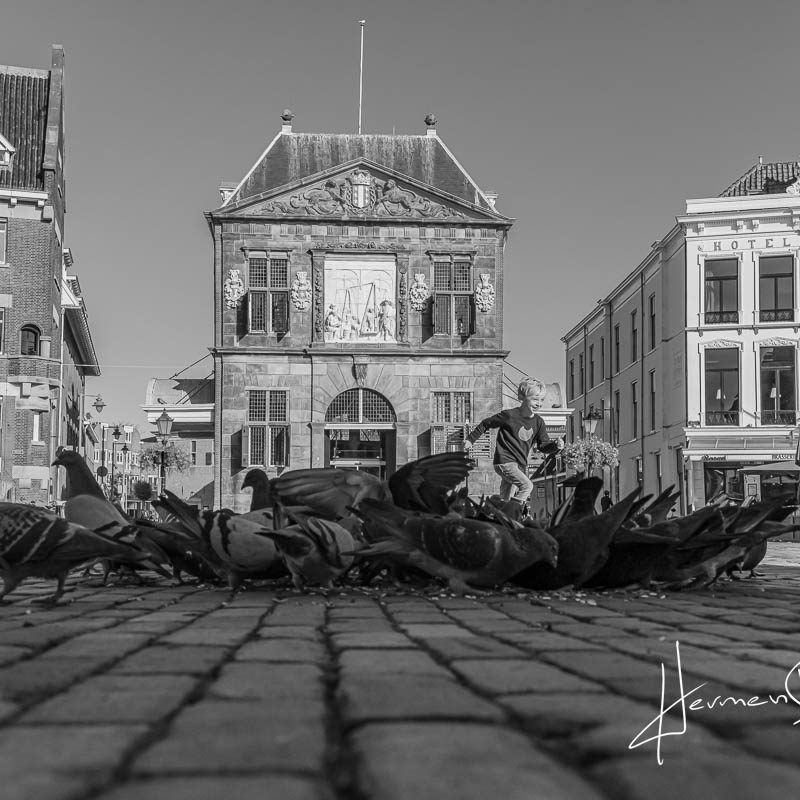 Foto van de Waag en de markt in Gouda met in de voorgrond duiven.
